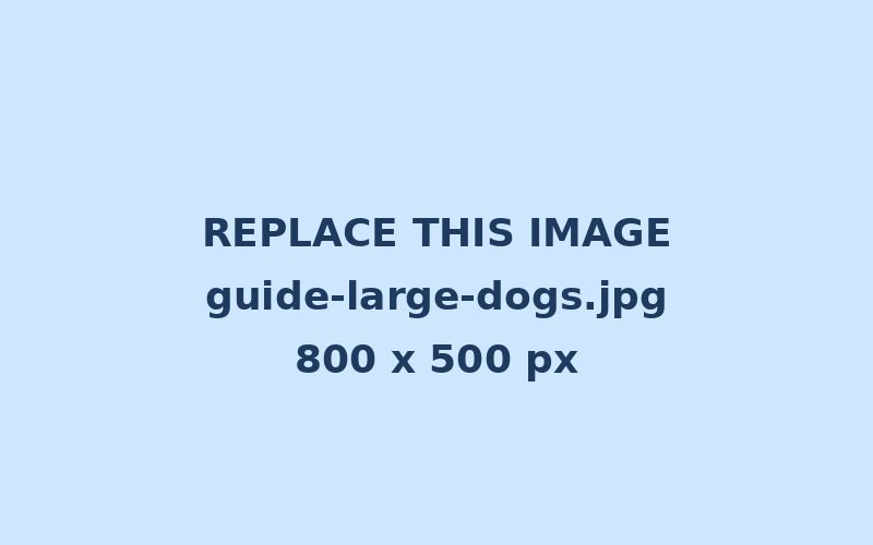 Large dog resting on a thick, supportive bed