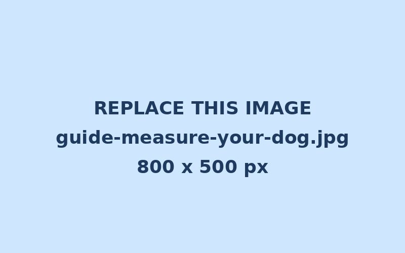 Measuring a dog with a tape measure