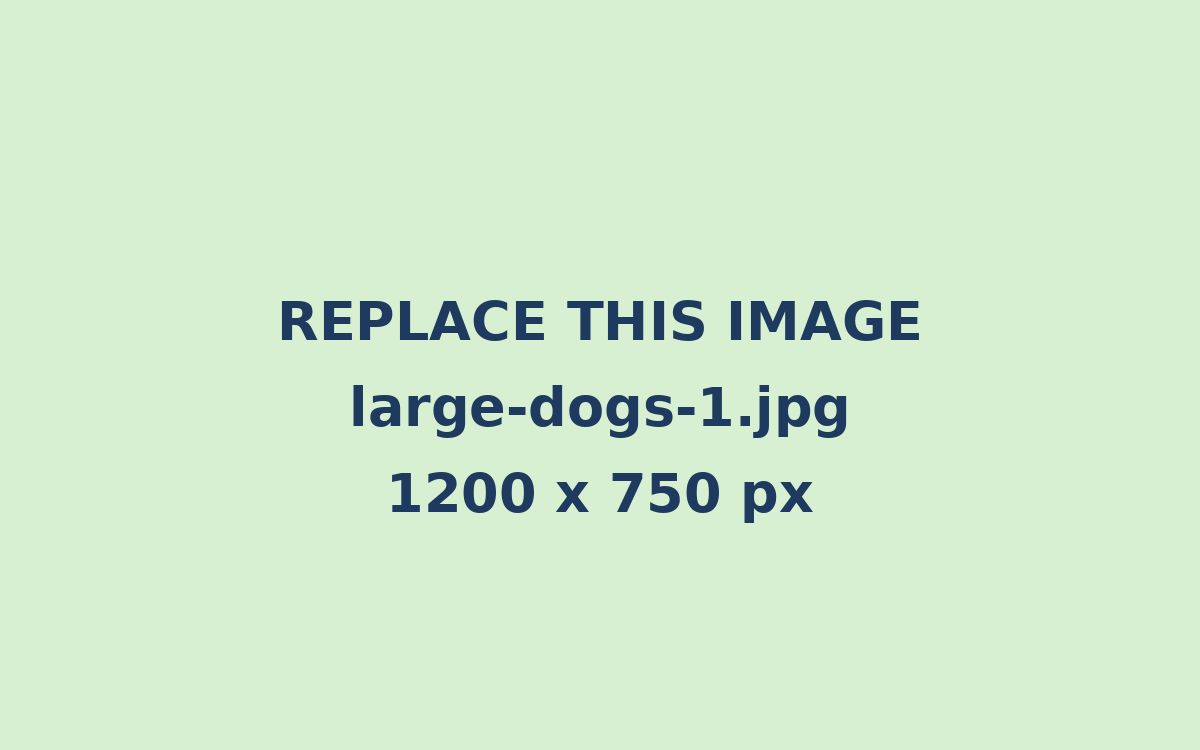 a large dog resting on thick foam