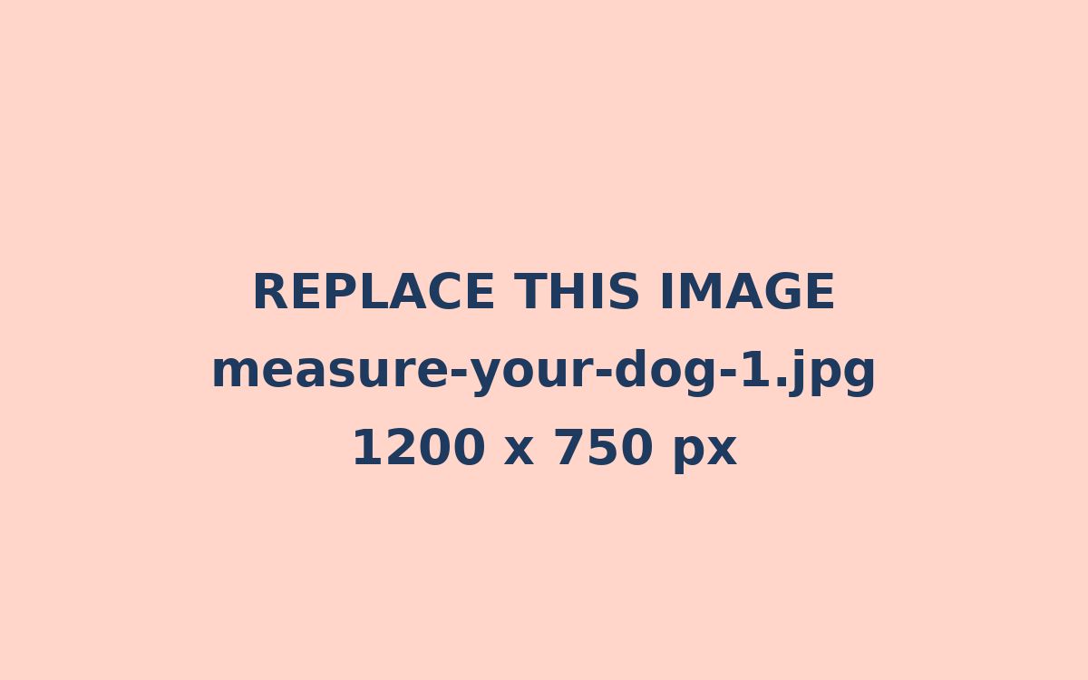 measuring a dog from nose to tail base